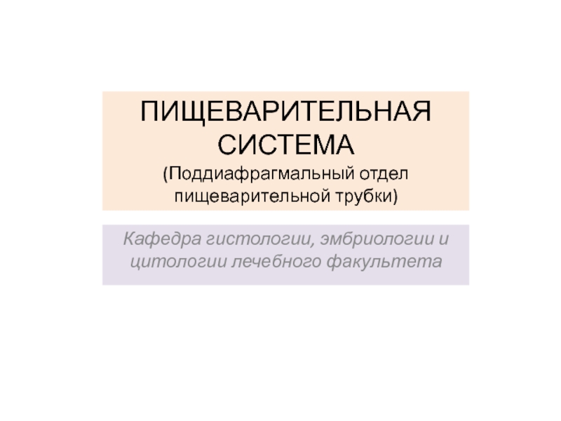 ПИЩЕВАРИТЕЛЬНАЯ
СИСТЕМА
(Поддиафрагмальный отдел пищеварительной