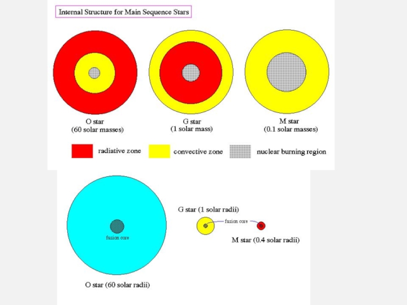 Внутреннее строение звезд схема