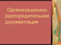 Организационно-распорядительная документация
