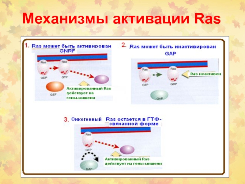 Механизм активации