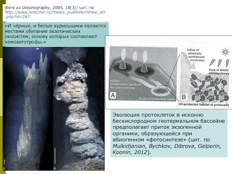 Черные курильщики экосистема. Черные курильщики теория происхождения жизни. Теория чёрных курильщиков теория возникновения жизни. Плюсы теории черные курильщики. Гипотезы возникновения жизни черные курильщики картинки.