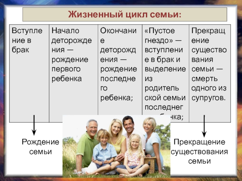 Жизненный цикл семьи схема