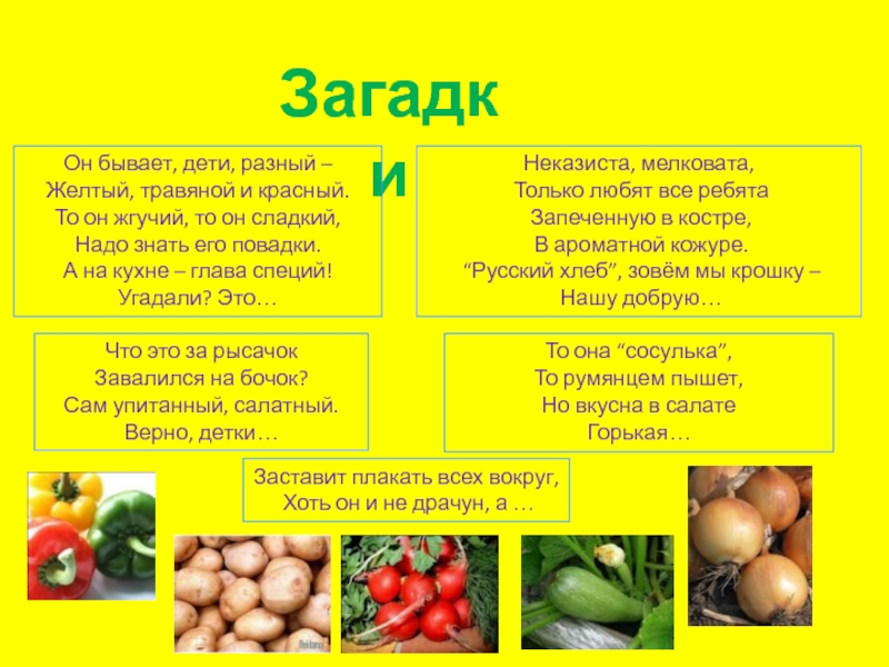 ЗагадкиОн бывает, дети, разный –Желтый, травяной и красный.То он жгучий, то он сладкий,Надо знать его повадки.А на