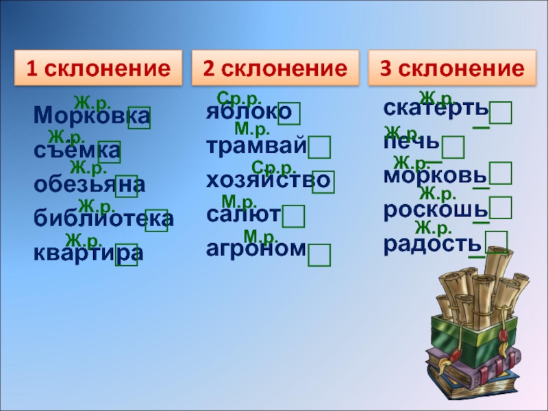 Яблоня просклонять по падежам. 1 Склонение 2 склонение 3 склонение. Морковь какое склонение. Морковь склонение. Морковка склонение.