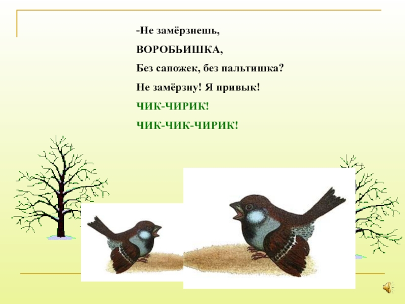 Песня чик чирик воробей. Не замерзнешь воробьишка. Не замерзнешь воробьишка без сапог и без пальтишка. Чик чирик Чик чирик Чик чирик. Воробьишко презентация 2 класс.