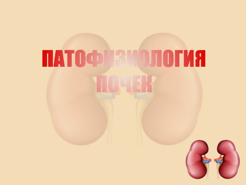 ПАТОФИЗИОЛОГИЯ
ПОЧЕК