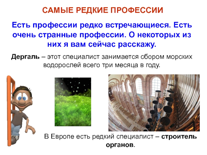 Интересные и редкие профессии презентация