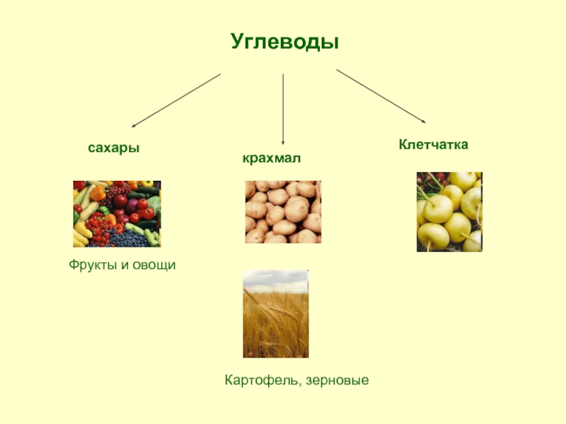 Органическая еда презентация