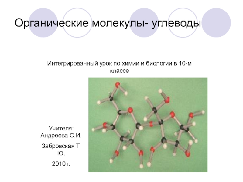 Презентация Органические молекулы- углеводы
