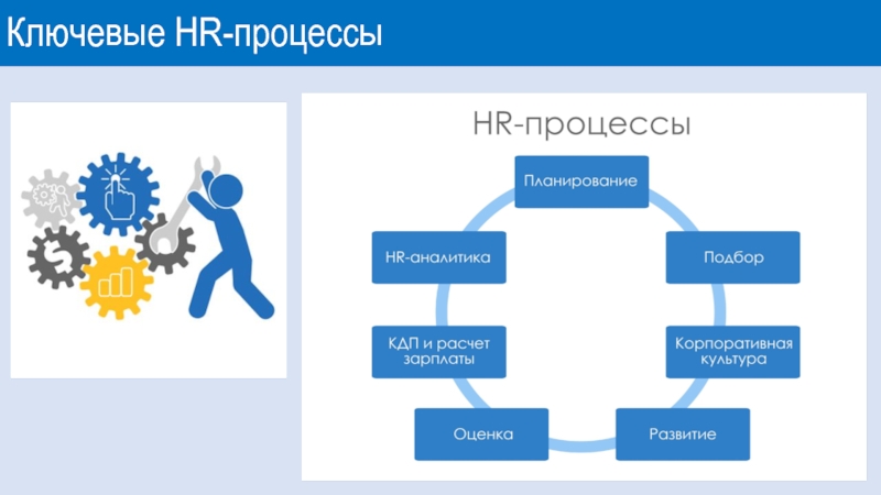 Проекты в hr