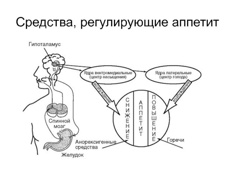 Средства влияющие на аппетит фармакология презентация