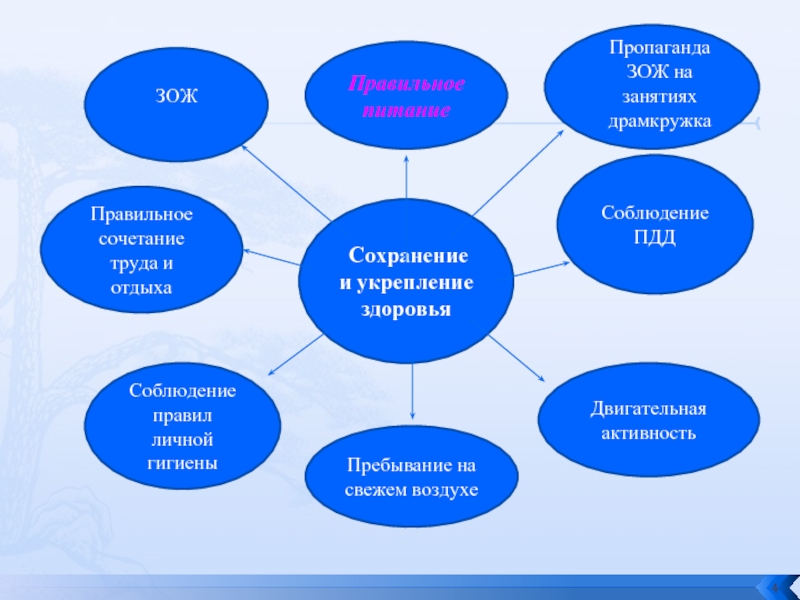 Здоровый образ жизни как необходимое условие сохранения и укрепления здоровья человека и общества презентация