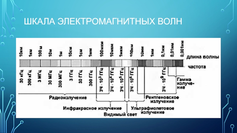 Шкала электромагнитных волн картинка