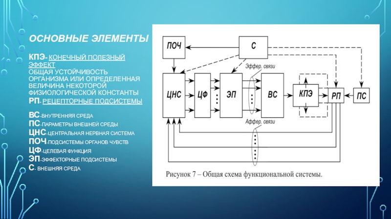 Ф 1.2 функциональная