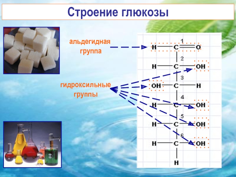 Углеводы глюкоза презентация 10 класс химия