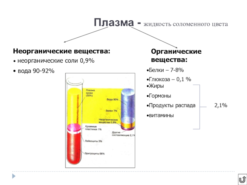 Жидкая плазма. Плазма жидкость. Органические вещества плазмы белки плазмы. Продукты распада белков в плазме. Белки и Минеральные вещества плазмы.