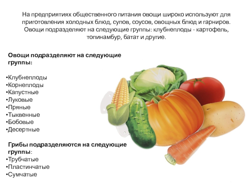 Овощ используют для приготовления. Роль овощей в питании человека. Технология приготовления блюд из овощей. Значение блюд из овощей в питании человека. Овощи корнеплоды и клубнеплоды.