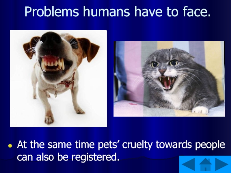 Problems humans have to face.At the same time pets’ cruelty towards people can also be registered.
