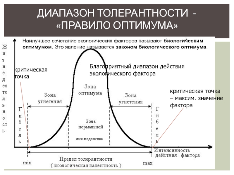 Интенсивность действия факторов среды 9 класс презентация