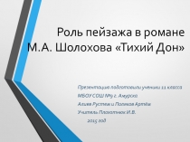 Роль пейзажа в романе М.А. Шолохова Тихий Дон 11  класс