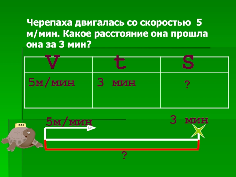 Скорость черепахи 5 м мин. Черепаха движется со скоростью. Черепаха двигалась со скоростью 5 м/мин. Черепаха бегает со скоростью 25 м. Черепаха со скоростью 6 м в час.