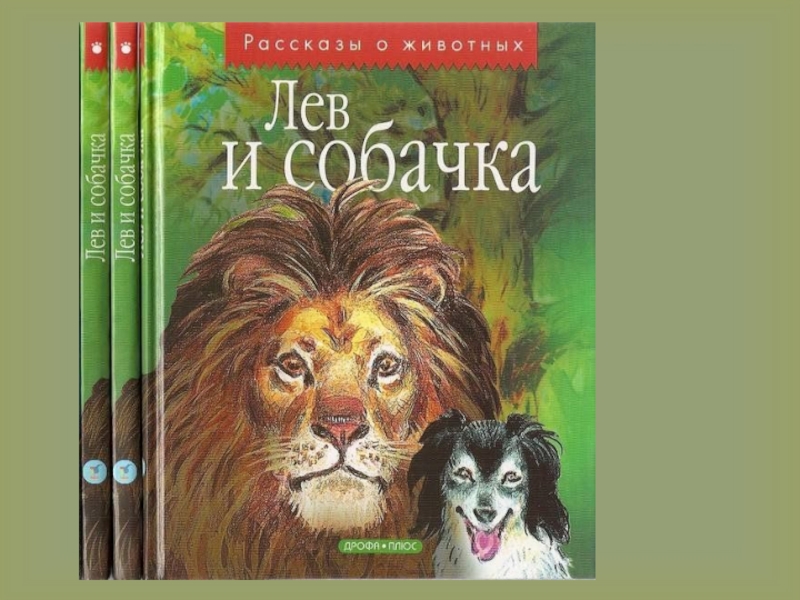 Лев и собачка толстой. Сказка Лев и собачка. Лев и собачка толстой показать. Лев и собачка толстой ахроматика. Лев и собачка толстой Лондон.