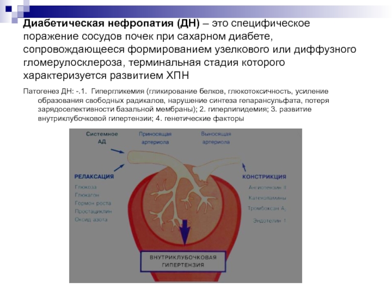 Сосуды при диабете. Диабетическая нефропатия механизм патогенез. Нарушение сосудов при сахарном диабете. Механизм развития диабетической нефропатии. Поражение сосудов при диабете патогенез.