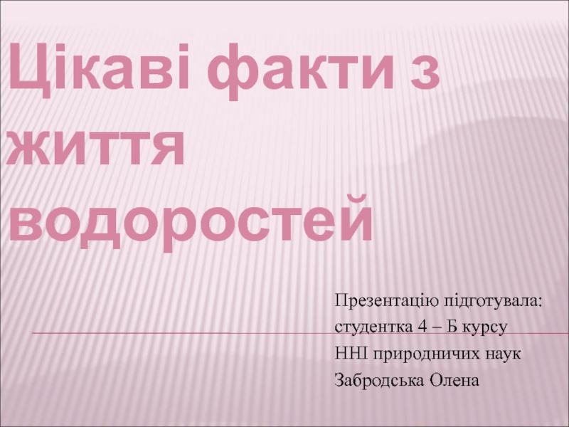 Презентация Цікаві факти з життя водоростей