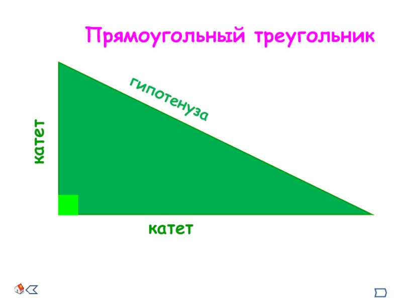 Прямоугольный треугольникгипотенузакатеткатет