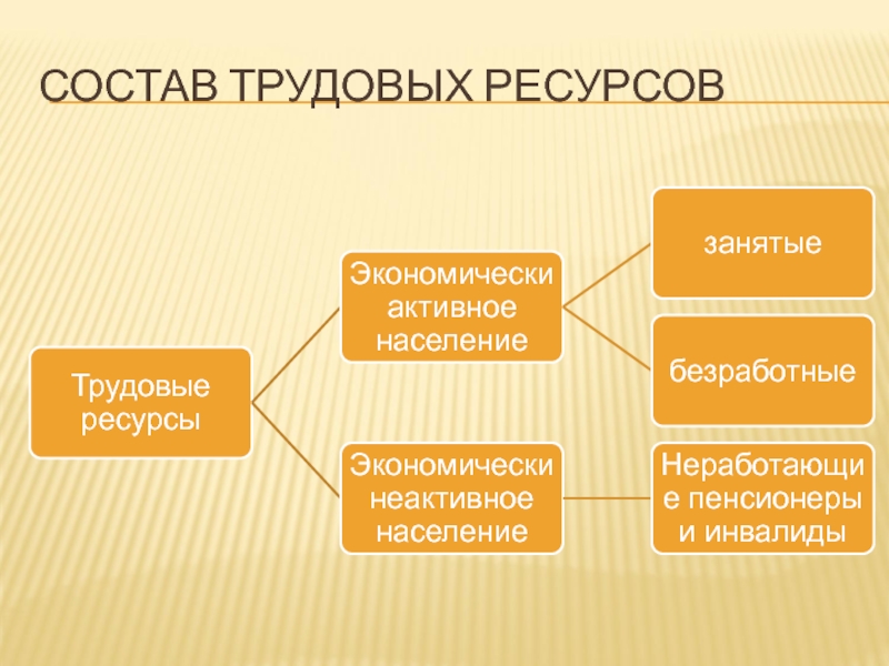 Трудовые ресурсы в проекте