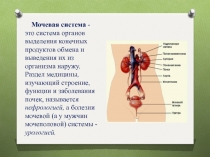 Мочевая система - это система органов выделения конечных продуктов обмена и