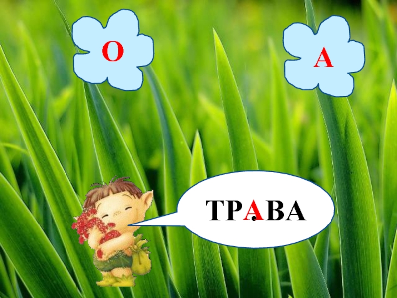 ТР . ВАОАА