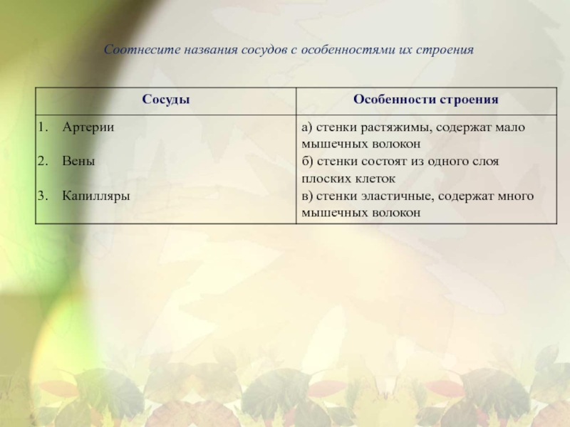 Соотнесите название. Соотнесите название сосудов с особенностями строения. Соотнесите названия сосудов с особенностями их строения артерии. Соотнести названия сосудов с особенностями их строения. Соотнесите название сосудов с особенностями их строения артерии вены.