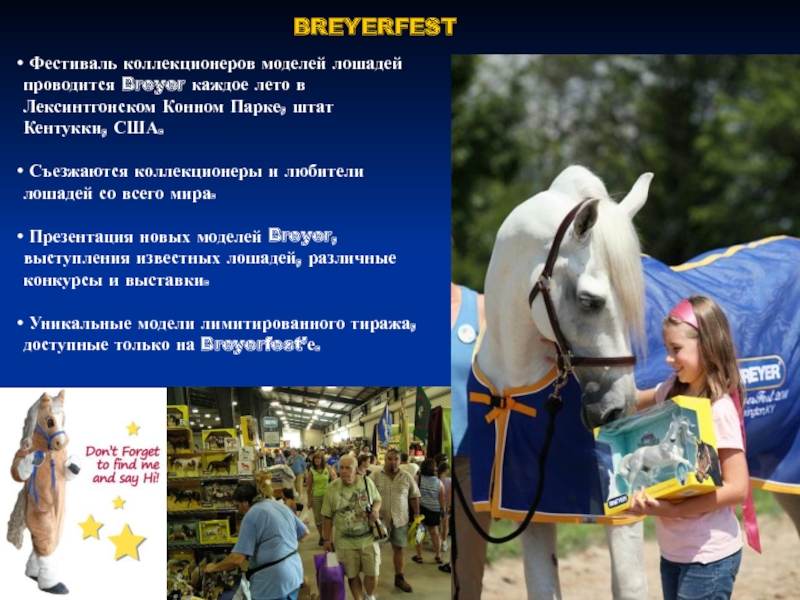 BREYERFEST Фестиваль коллекционеров моделей лошадей проводится Breyer каждое лето в Лексинтгонском Конном Парке, штат Кентукки, США. Съезжаются