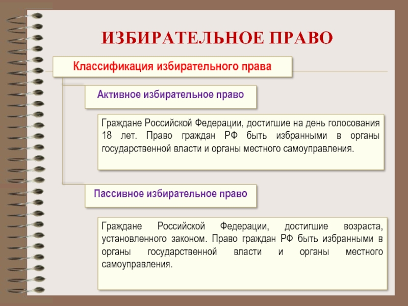 Правовые основы избирательного права рф план егэ