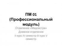 ПМ 01 (Профессиональный модуль)