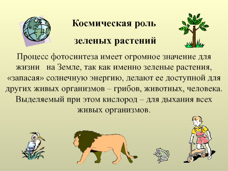 Космическая роль растений 6 класс. Космическая рользеоеных растений. Космическая роль растений. Космичекская роль зелёных растений. Космическая роль зеленых растений в природе.