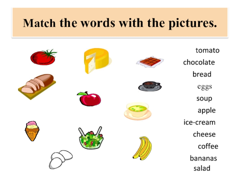 Match the words which best describes