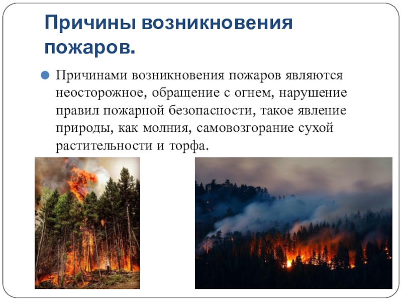 Лесной пожар относится к биологически опасным явлениям. Причины природных пожаров. Причины возникновения пожаров. Природные пожары ОБЖ. Причины возникновения пожаров неосторожное обращение с огнем.