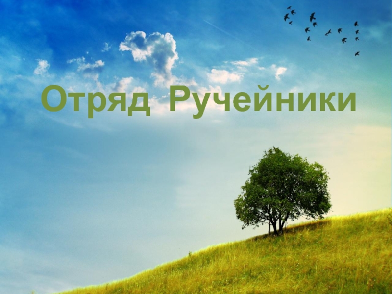 Презентация Отряд Ручейники