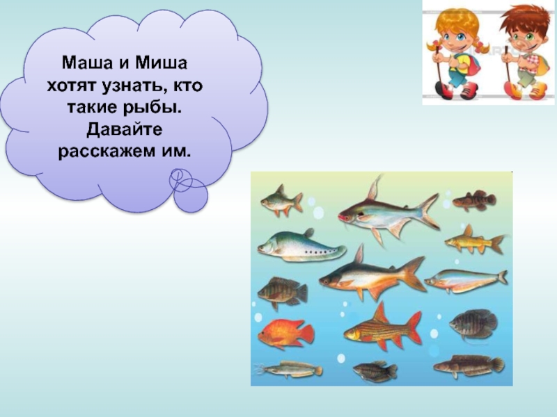 Кто такие рыбы. Кто такие рыбы 1 класс окружающий мир. Кто такие рыбы 1 класс школа России. Урок по окружающему миру кто такие рыбы 1 класс.