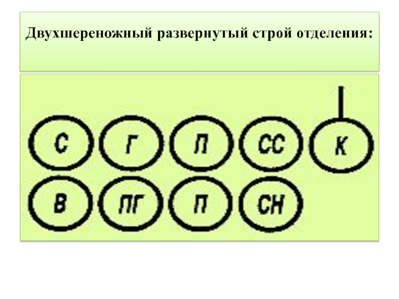 Строй значения. Развернутый одношереножный Строй. Развернутый двухшереножный Строй. Развернутый Строй отделения - двухшереножный. Развернутый Строй отделения - одношереножный.