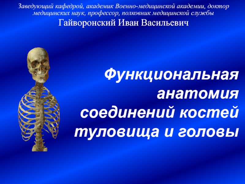 Функциональная анатомия соединений костей туловища и головы