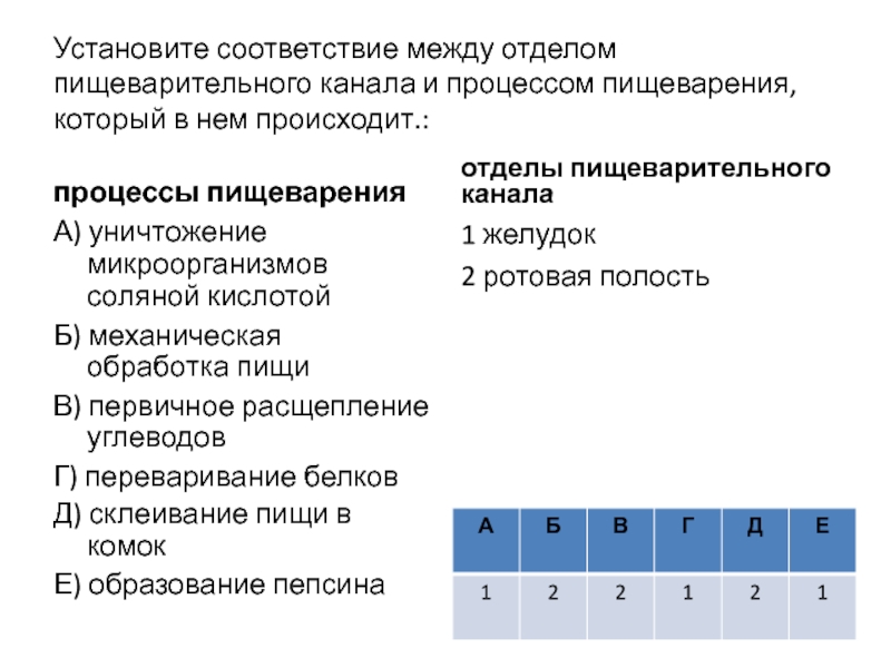 Установите соответствие между процессом обмена. Установите соответствие органы пищеварительной системы. Установите соответствие между отделом пищеварительного канала. Соответствие между процессом пищеварения и отделом пищеварительного. Установите соответствие между.