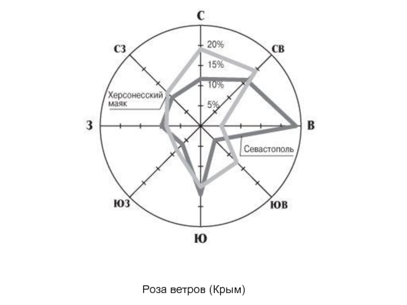 Роза ветров крым карта