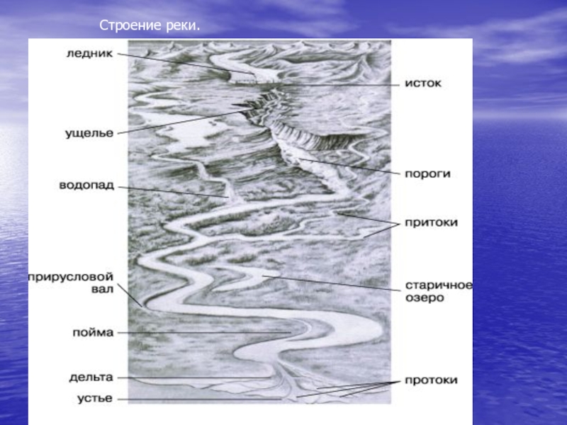 Схема реки структура