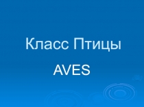 Класс Птицы