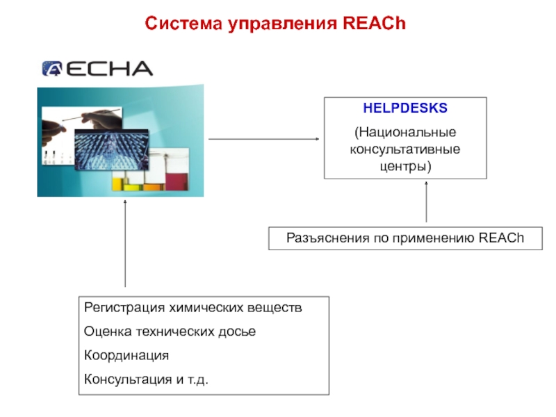 Разъяснения по применению. Система reach.