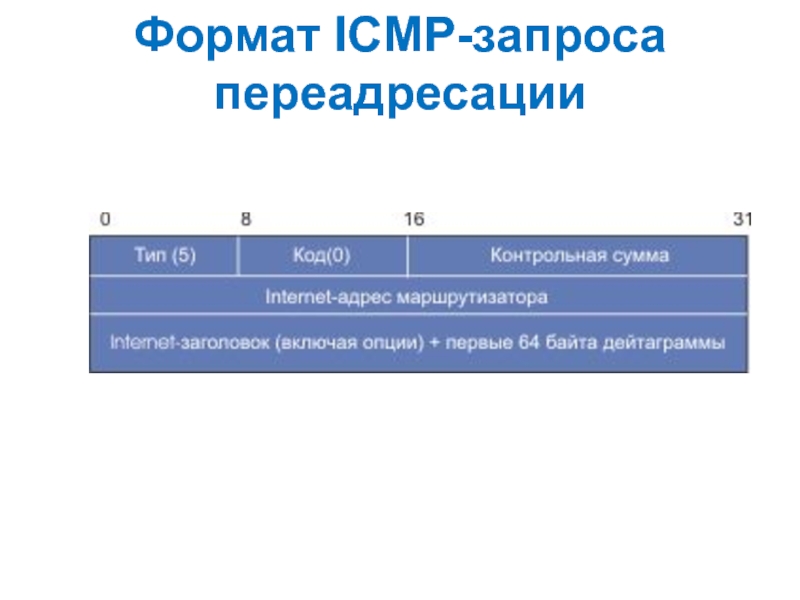 Формат 21. ICMP запрос.