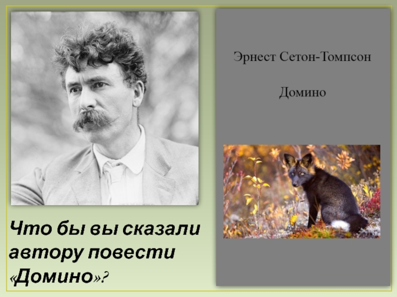 Сетон томпсон уроки. «Домино» Эрнеста Сетона-Томпсона. Презентация Эрнест Сетон-Томпсон - Домино иллюстрации. Презентация Эрнест Сетон-Томпсон — Домино. Домино Томпсон.